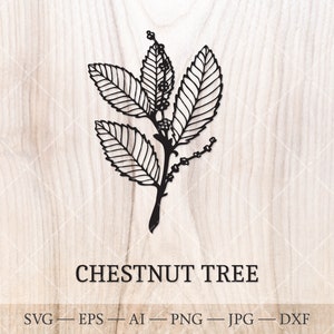 Castaño SVG. Árboles de nacimiento SVG. Dibujo del contorno del árbol del mes de nacimiento. Imágenes prediseñadas florales de cumpleaños, imágenes prediseñadas de árbol de nacimiento