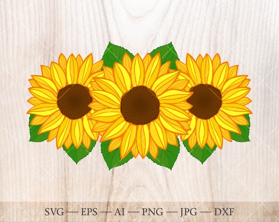 Free Free Sunflower Bouquet Svg 257 SVG PNG EPS DXF File