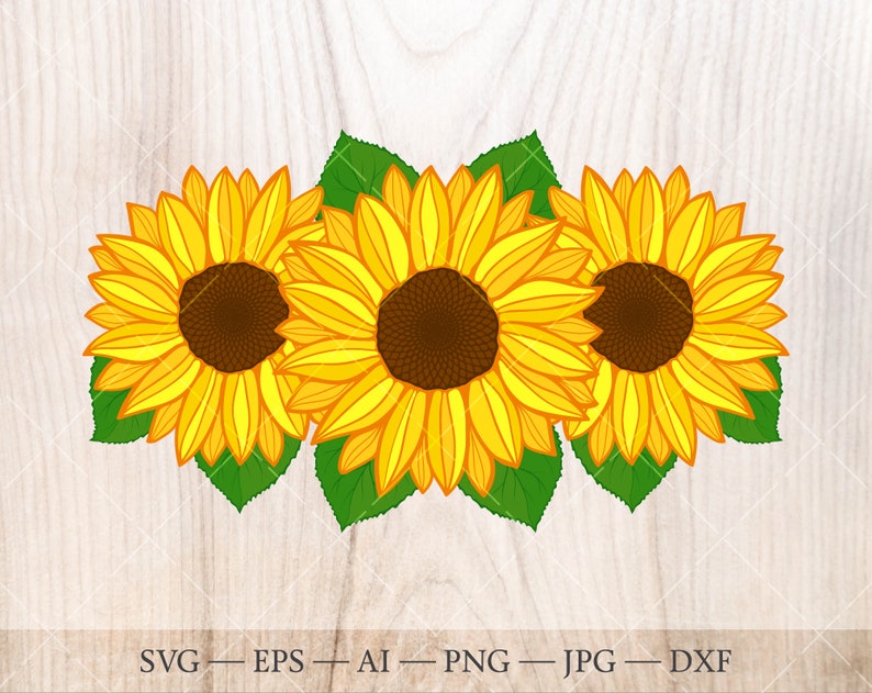 Download Sunflower bouquet SVG. Sunflower clipart. Floral frame ...