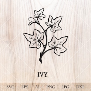 Efeu SVG (Hedera helix). Der keltische Sternzeichen Geburtsbaum SVG. Geburt Monatsbaum Umrisszeichnung. Geburtstag Blumen Clipart, Geburt Baum Clipart