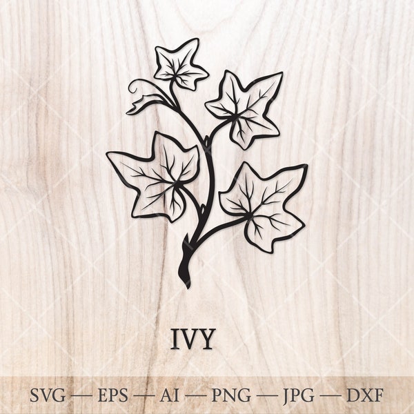 Ivy SVG (Hedera helix). The Celtic Zodiac Birth tree SVG. Birth month tree outline drawing. Birthday floral clipart, birth tree clipart