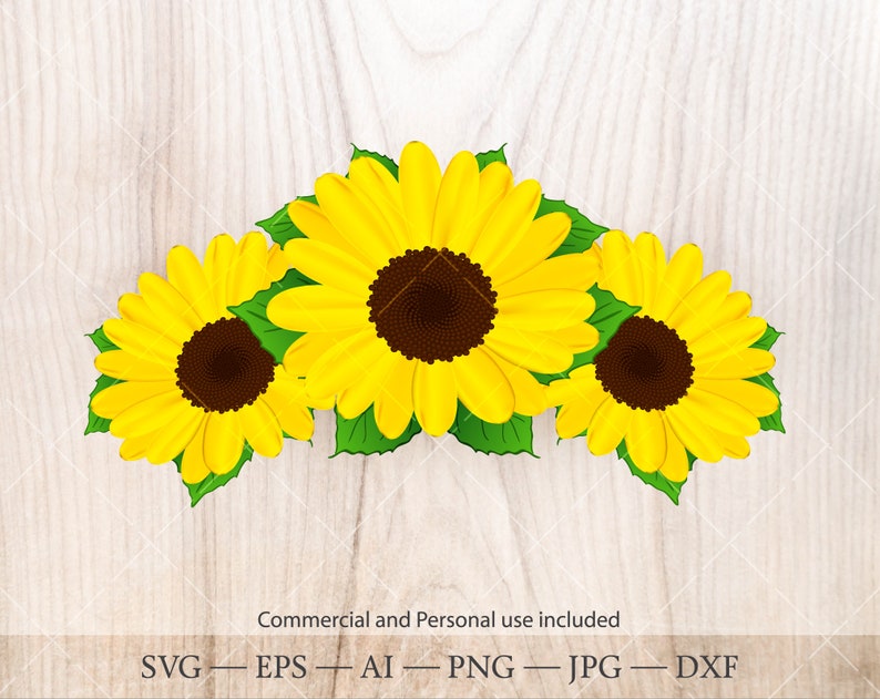 Download Sunflower SVG. Sunflower clipart. Sunflower bouquet | Etsy