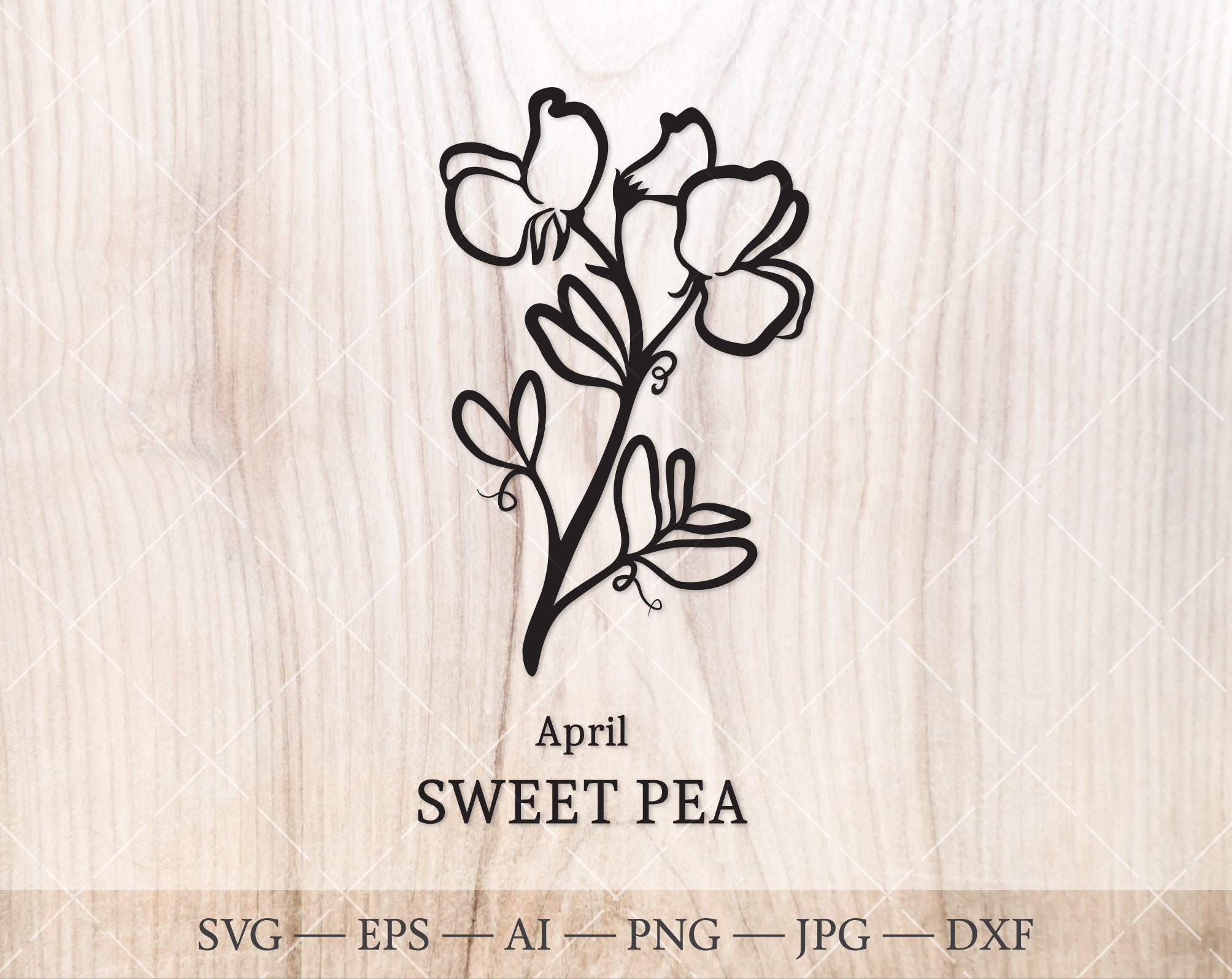 Sweet Pea Clip Art Svg 243 SVG PNG EPS DXF File