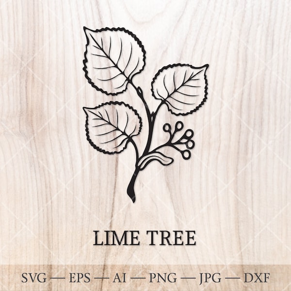 Lime Tree SVG. Linden tree SVG. Birth trees SVG. Birth month tree outline drawing. Linden leaf svg. Birthday clipart, birth tree clipart