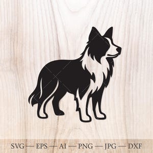 May include: A black and white silhouette of a Border Collie dog. The dog is depicted in a standing position, with a fluffy white chest and neck, and a black body and head. The image is set against a light wood grain background. The bottom of the image includes the text: SVG - EPS - AI - PNG - JPG - DXF.