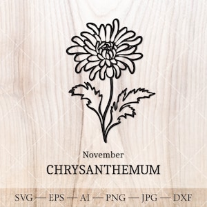 Chrysanthemum SVG, November Birth Flower SVG. Birth month flower drawing. Birthday flower clipart image 1