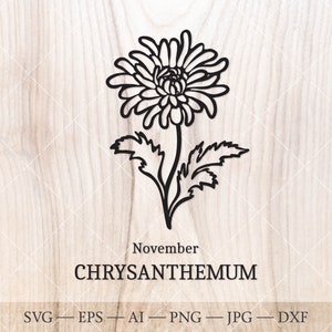 Chrysanthème SVG, novembre naissance fleur SVG. Dessin de fleur de mois de naissance. Clipart de fleur d'anniversaire