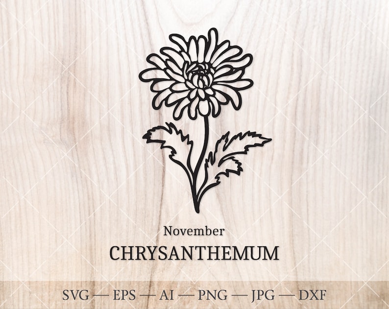 Chrysanthemum SVG November Birth Flower SVG. Birth Month Etsy