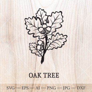 Eikenboom SVG. Geboortebomen SVG. Boomomtrektekening geboortemaand. Eikenblad svg. Verjaardagsclipart, geboorteboom clipart