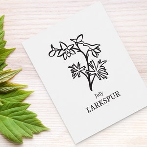 May include: A white card with a black line drawing of a Larkspur flower, with the text "July LARKSPUR" in black. The card is on a light wood surface, with green leaves in the background.