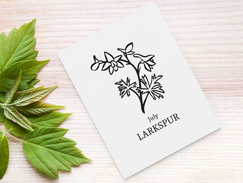 May include: A white card with a black line drawing of a Larkspur flower, with the text "July LARKSPUR" in black. The card is on a light wood surface, with green leaves in the background.