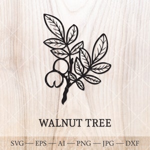 Noyer SVG. Arbres de naissance SVG. Dessin du contour de l'arbre du mois de naissance. Clipart floral d'anniversaire, clipart d'arbre de naissance