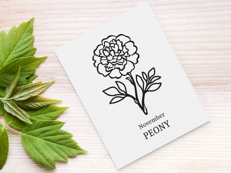 Peony SVG November Birth Flower SVG. Birth Month Flower Peony Etsy