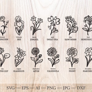 Birth Flower SVG bundle. Birth month flower outline drawings. Birthday flower clipart, birth flower art