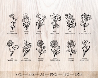 Birth Flower SVG Bundle, Birthday month Floral Outline Drawings (Digital Download)
