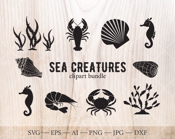 Sea Creatures Svg Set Under The Sea Clipart Ocean Life Svg Etsy