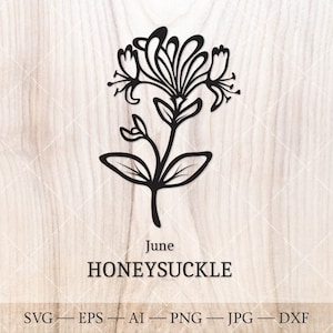 Chèvrefeuille juin naissance fleur SVG. Dessin du contour de la fleur du mois de naissance. Clipart fleur anniversaire