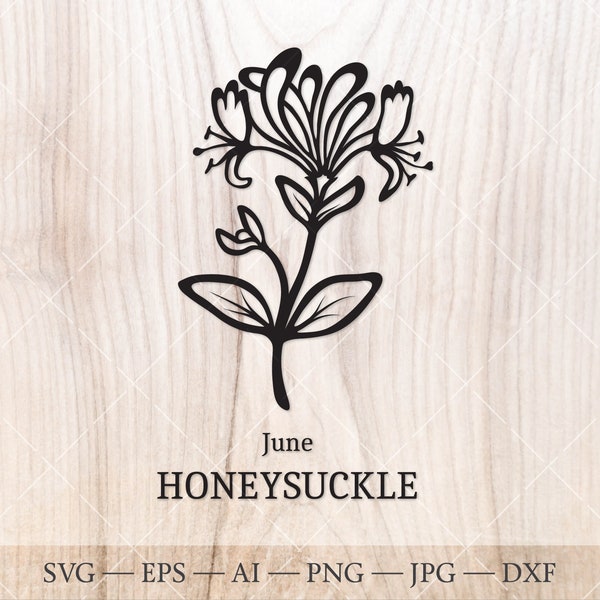 Honeysuckle June Birth Flower SVG. Birth month flower outline drawing. Birthday flower clipart