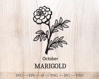 Marigold SVG, October Birth Flower Clipart (Digital Download)