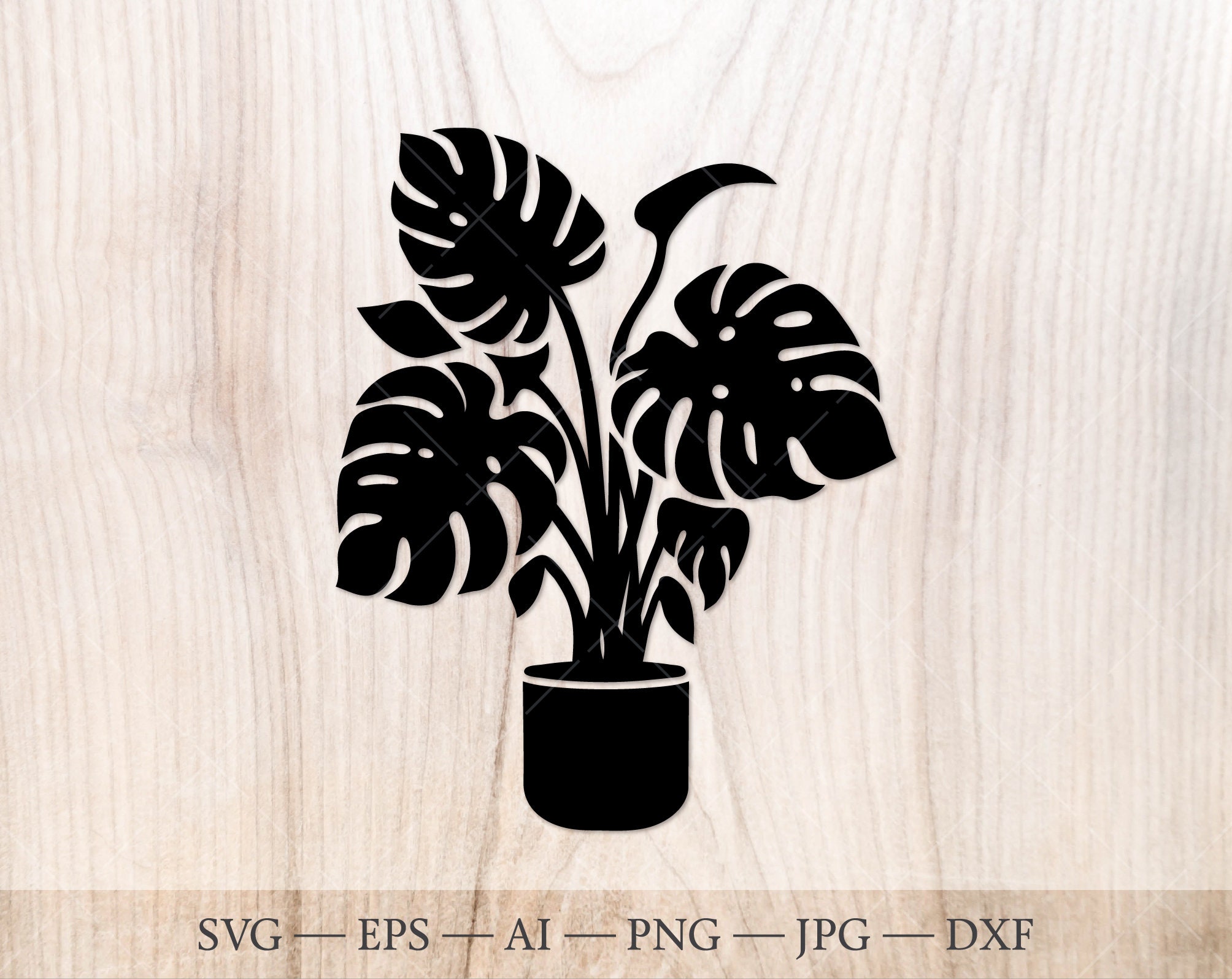 Monstera in a Pot SVG Monstera Plant Svg Monstera SVG Cut - Etsy UK