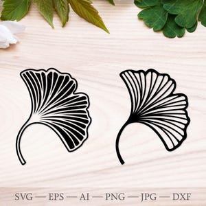 Ginkgo Leaf SVG, Tree leaf Gingko SVG clipart, Botanical Leaf Cut File. Ginkgo Biloba leaf outline drawings.