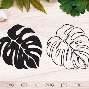 Monstera svg, archivo de corte SVG de hoja de Monstera, contorno de monstera, planta monstera svg, hojas tropicales svg, silueta de monstera