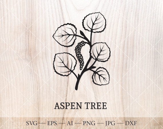 100,000 Aspen trees Vector Images | Depositphotos