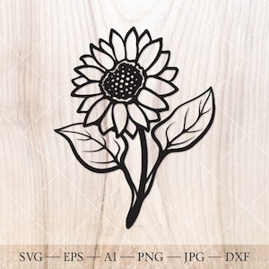 Girasole SVG. Disegno della sagoma del girasole. Contorno di girasole floreale botanico
