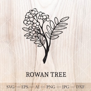 Rowan Tree SVG. Alberi di nascita SVG. Disegno del contorno dell'albero del mese di nascita. Clipart floreale di compleanno, clipart dell'albero di nascita