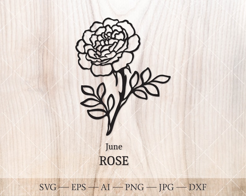 K&ouml;nnte beinhalten: Schwarz-wei&szlig;-Linienzeichnung einer Rose mit Bl&auml;ttern. Der Text "June ROSE" befindet sich unter dem Bild.