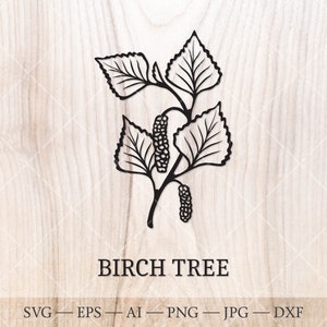 Betulla SVG. Alberi di nascita SVG. Disegno del contorno dell'albero del mese di nascita. Foglia di quercia SVG. Clipart di compleanno, clipart dell'albero di nascita