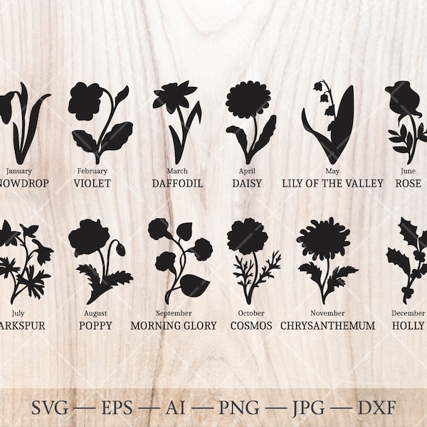 Paquete de imágenes SVG de flores de nacimiento. Dibujos de contornos de flores del mes de nacimiento. Imágenes prediseñadas de flores de cumpleaños, arte de flores de nacimiento.