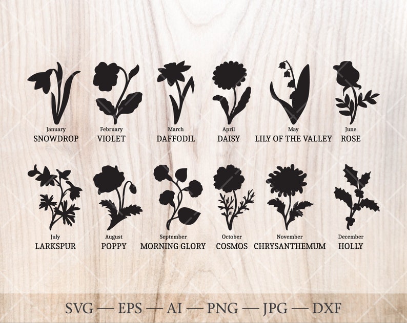 Birth Flower SVG Bundle. Birth Month Flower Outline Drawings. - Etsy ...