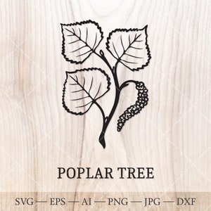 Populier boom SVG. Geboortebomen SVG. Boomomtrektekening geboortemaand. Verjaardag bloemen clipart, geboorteboom clipart