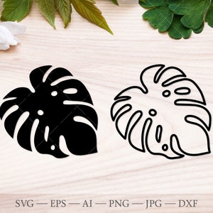 Monstera svg, archivo de corte SVG de hoja de Monstera, contorno de monstera, planta monstera svg, hojas tropicales svg, silueta de monstera