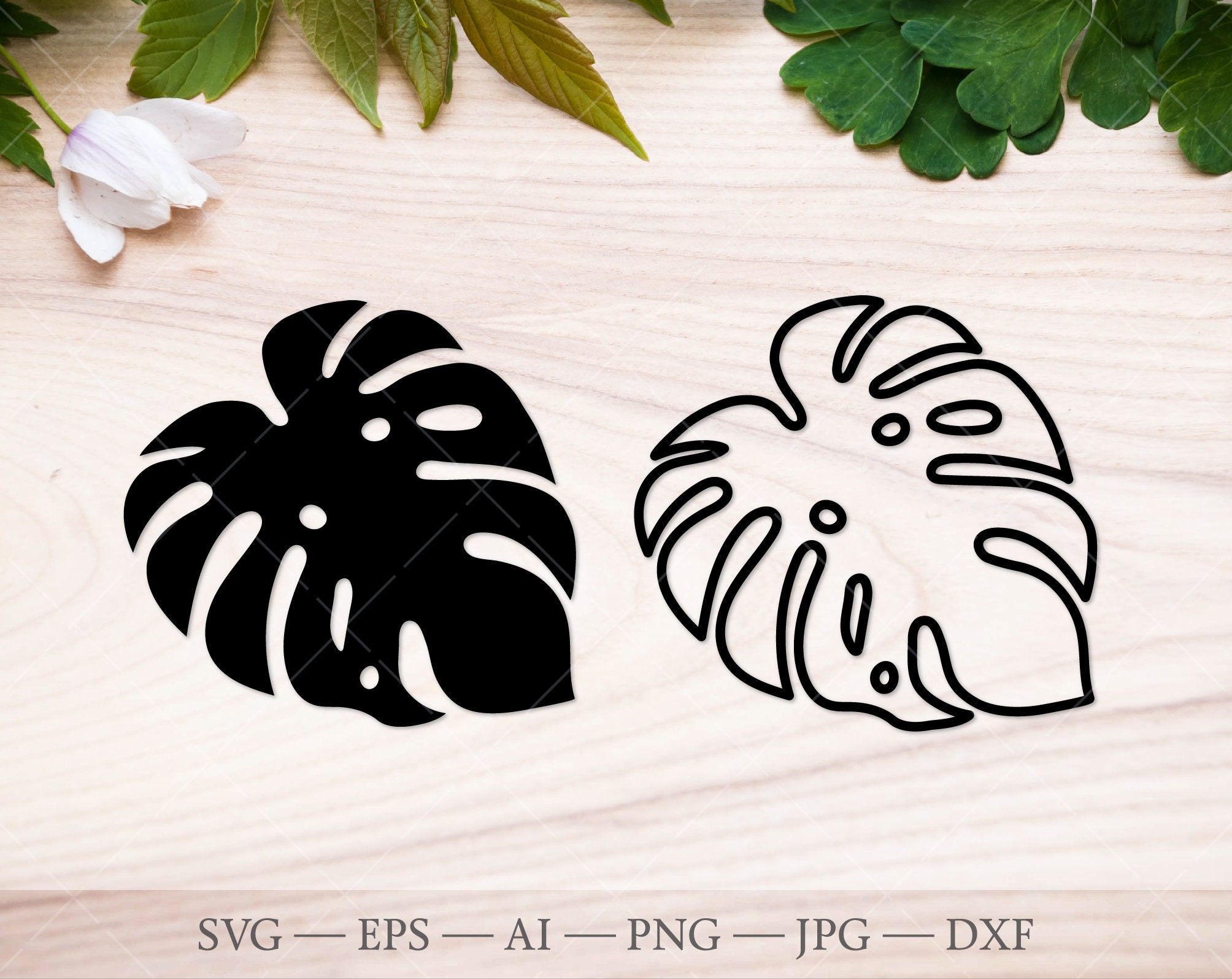 Monstera Svg Monstera Leaf SVG Cutting File Monstera - Etsy