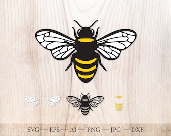 Honey bee SVG, honeybee SVG, bee silhouette PNG. Bumble bee svg file, beekeeper svg, honey bee clip art, cute bee svg