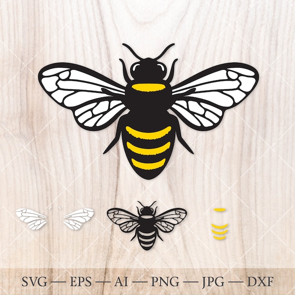 Honey bee SVG, honeybee SVG, bee silhouette PNG. Bumble bee svg file, beekeeper svg, honey bee clip art, cute bee svg