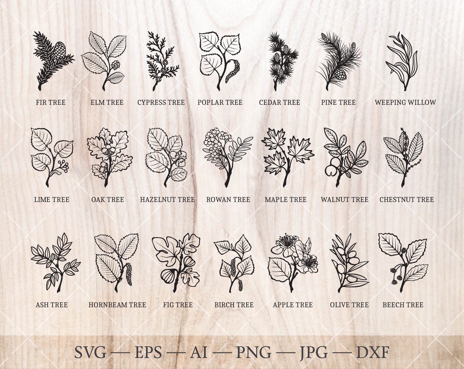 Birth Trees SVG Bundle. 21 Birth Month Tree Outline Drawings. Birthday ...