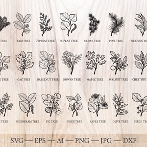 Pacote SVG de árvores de nascimento. 21 Desenhos de contorno da árvore do mês de nascimento. Clipart floral de aniversário, arte de árvore de nascimento