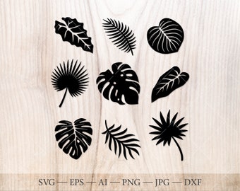 Tropische Blätter SVG Bundle, Palmenblätter SVG, Dschungel Blätter svg, Monstera svg, Monstera Blatt SVG, Palmzweig svg, grün svg