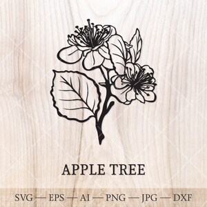 Apple Tree SVG. Árvores de nascimento SVG. Desenho de contorno de árvore de mês de nascimento. Clipart floral de aniversário, clipart de árvore de nascimento