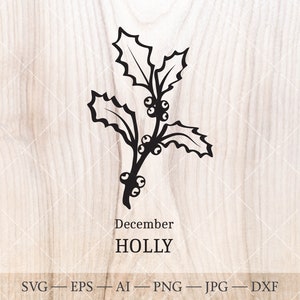 Holly SVG, december geboorte bloem SVG. Geboortemaand bloem hulst tekening. Verjaardag bloem clipart