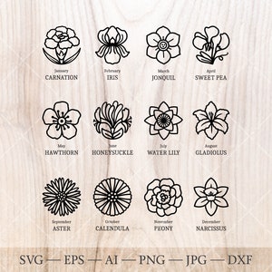 Pacote SVG de ícones de flores de nascimento. Desenhos de contorno de flores do mês de nascimento. Clipart de flor de aniversário, arte de linha de flor de nascimento