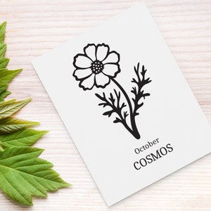 May include: A black and white illustration of a cosmos flower with the text "October COSMOS" below it.
