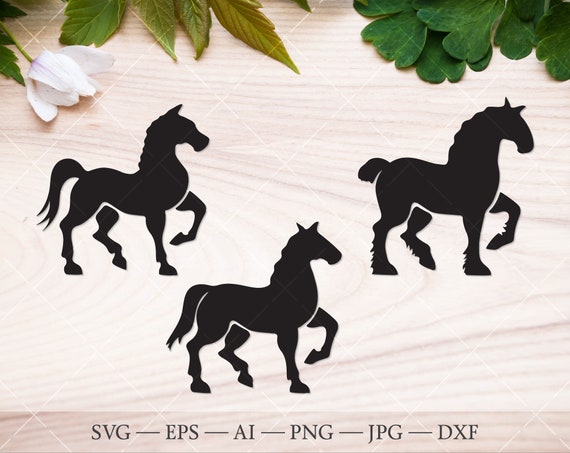 Download Horse Silhouettes Riding Driving And Draft Horse Svg Bundle Etsy PSD Mockup Templates