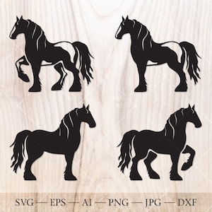 Las siluetas del caballo Gypsy Vanner. Cob irlandés, Vanner gitano, Caballo Tinker. Paquete SVG.