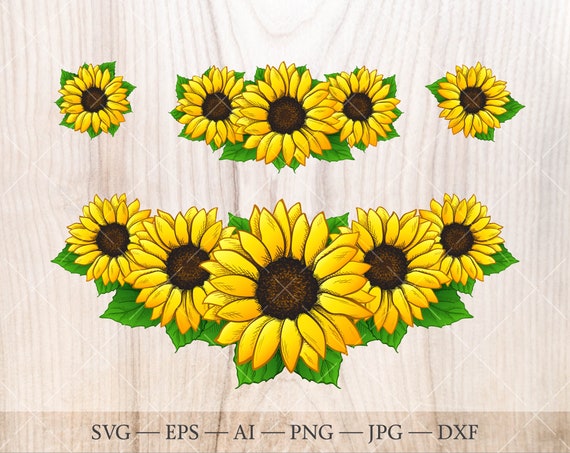 Free Free 231 Clear Background Sunflower Bouquet Svg SVG PNG EPS DXF File