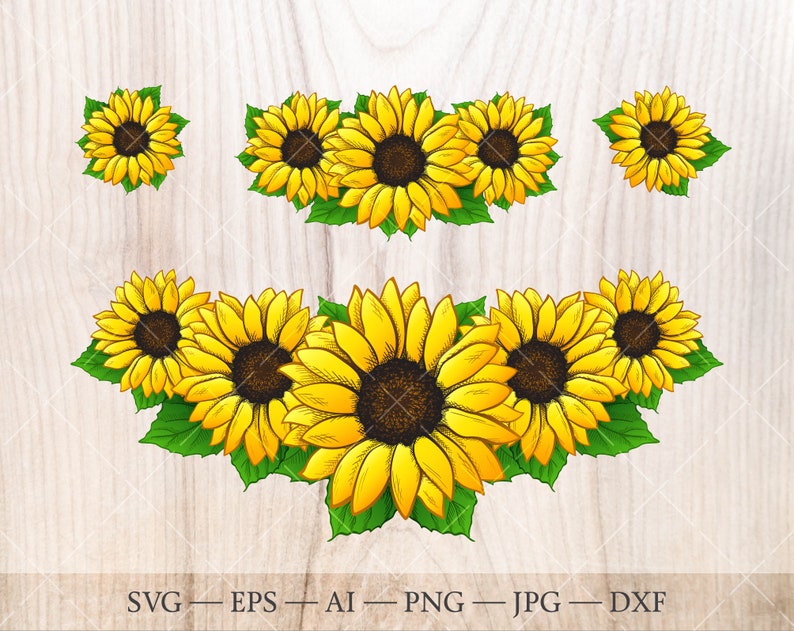 Download Sunflower bouquet SVG bundle. Sunflower clipart. | Etsy