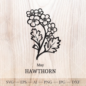 Weißdorn SVG, Mai Geburtsblume SVG. Geburtsmonat Blumen Weißdorn Zeichnung. Geburtstagsblumen Clipart